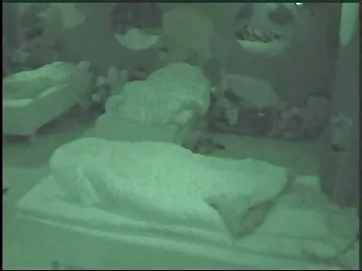 Fetele mari albe iubesc și sexul gay men tube hd