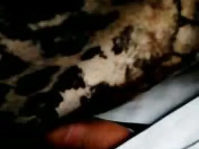 Suger video boy gay de cocos blondă cu webcam în acțiune