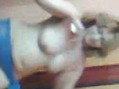 Cutie rocco steele sexy își umple găurile